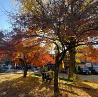 童話色彩的桃太郎公園