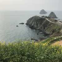 부산 오륙도 수선화가 예뻐요