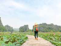 Incredible Trang An Boat Tour