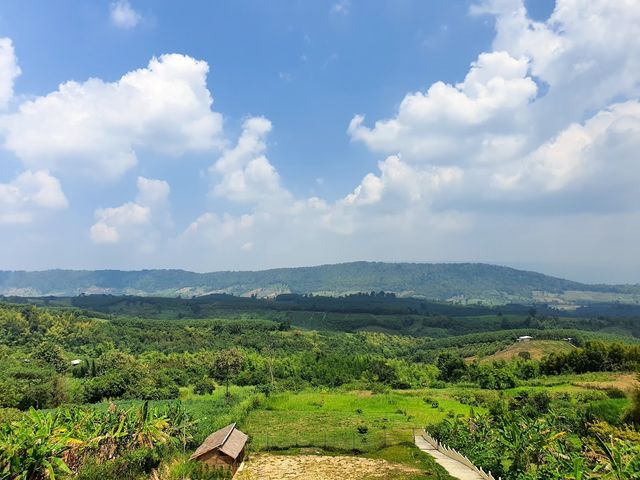 Coffee view น้ำหนาว