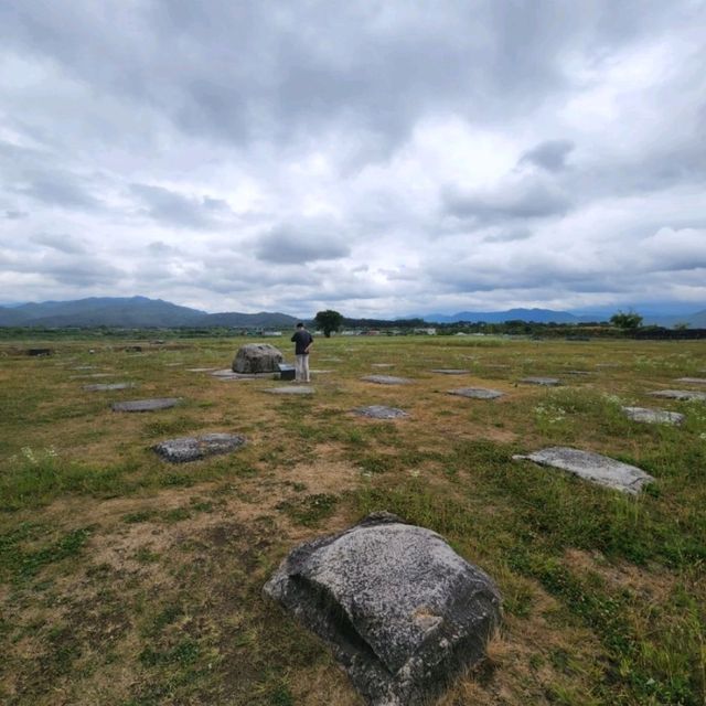 경주 황룡사 9층 목탑의 절터, 황룡사지 경주 황룡사 9층 목탑의 절터, 황룡사지
