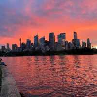 Royal Botanic Garden Sydney
