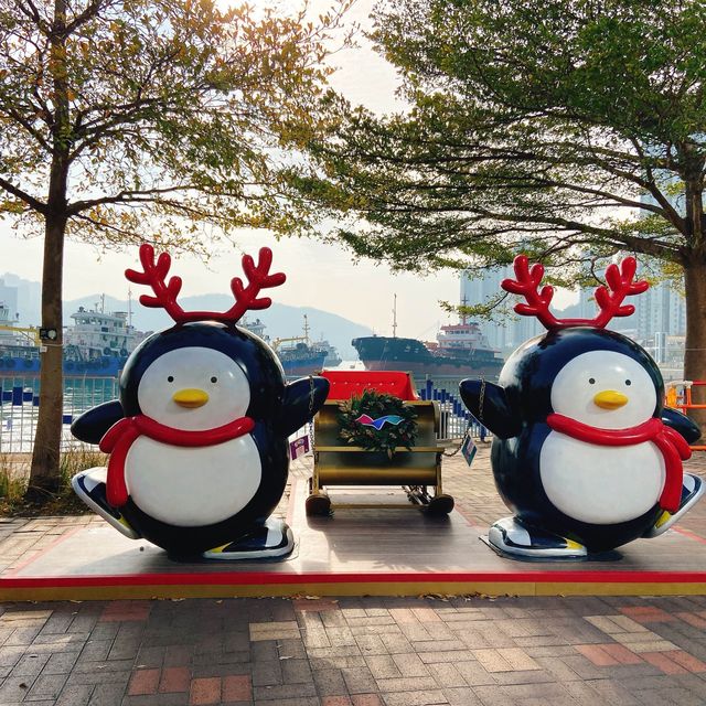 【踢躂海濱小企鵝🐧】📍荃灣西
