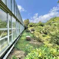 ジャングル気分が楽しめる熱川バナナワニ園