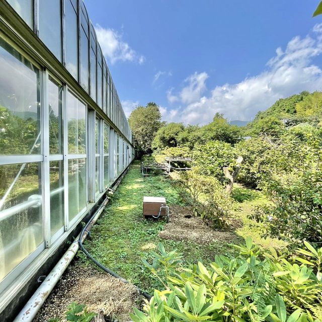 ジャングル気分が楽しめる熱川バナナワニ園