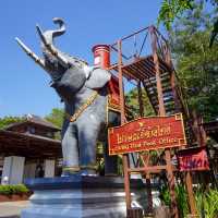 พามาดูช้างที่ ‘ศูนย์อนุรักษ์ช้างไทย’🐘🐘