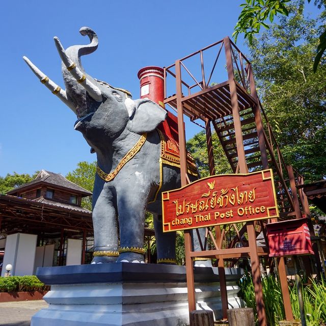 พามาดูช้างที่ ‘ศูนย์อนุรักษ์ช้างไทย’🐘🐘