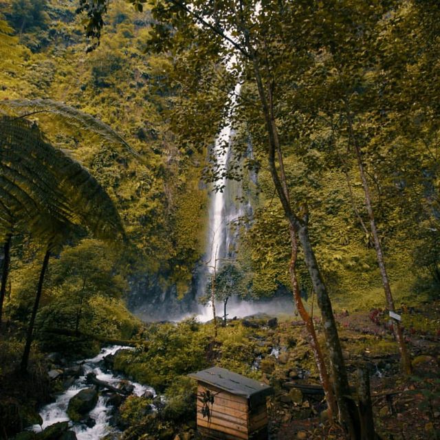 TANCAK WATERFALL : JEMBER