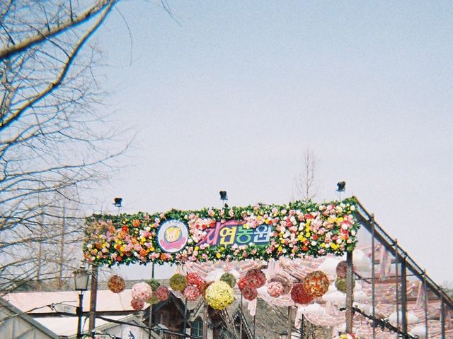 필름카메라로 담은 에버랜드 🎠