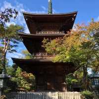 滿滿招財貓🐱日本必去豪徳寺