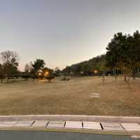 佐敦谷公園~野餐勝地