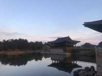 경주 야경보러 꼭 가야하는 동궁과 월지