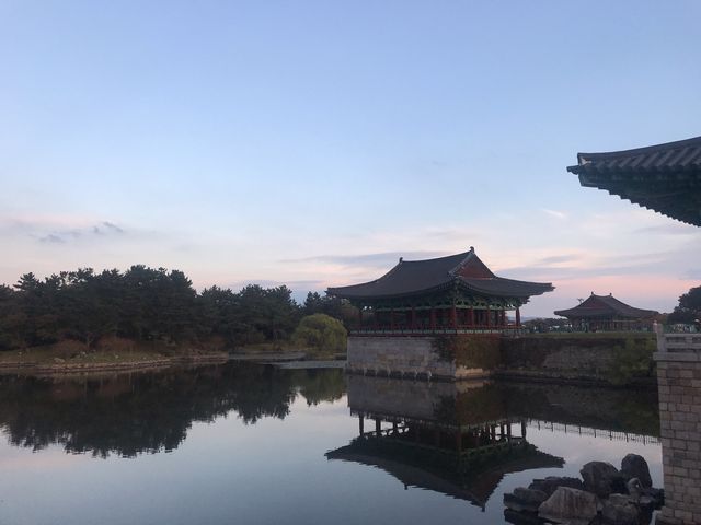 경주 야경보러 꼭 가야하는 동궁과 월지