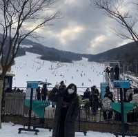 스키부터 썰매까지 한번에 즐길수 있는 곤지암리조트