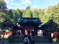 【湖×神社が楽しめる！】箱根・芦ノ湖でのんびり過ごす