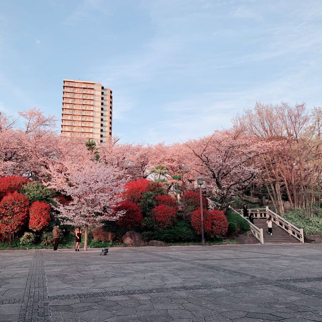 飛鳥山公園