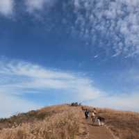 제주도 억새 명소 “새별오름”