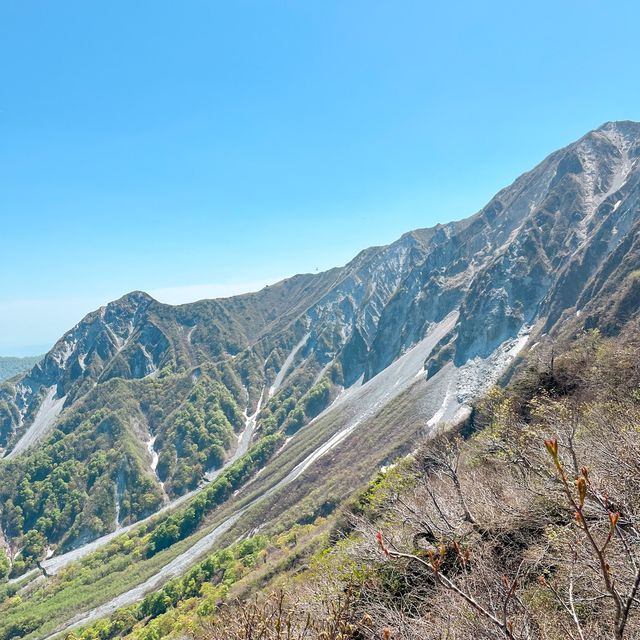 鳥取県大山に登山してきました🙌