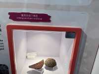 荔枝窩故事館