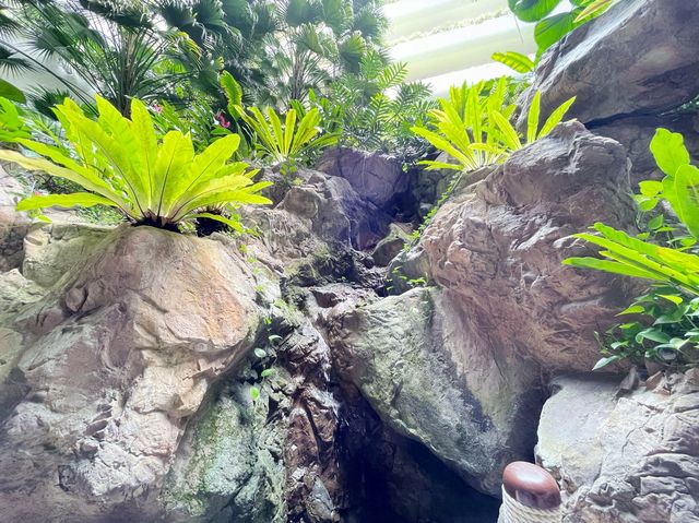 Shangri-La nature walk