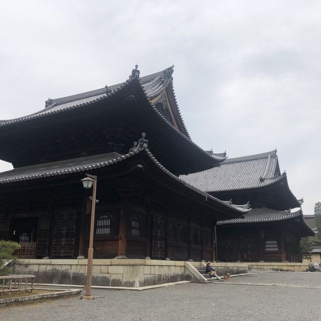 【京都おでかけ】大人かわいい御朱印帳を求めて、妙心寺に。