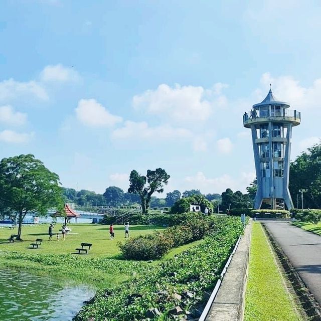 The Lone Tree @ Upper Seletar Reservoir Park 