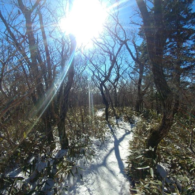 지리산 반야봉 등산