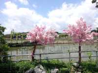 信芯園甜蜜打卡位