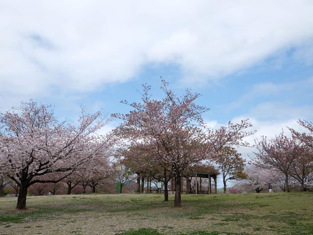 歐洲城堡風格｜松山綜合公園📸️🤩🤩