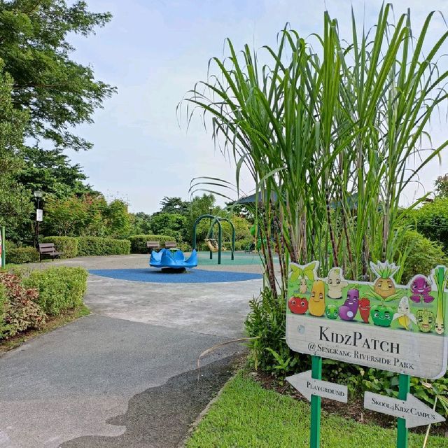 Exploring Sengkang Riverside Park 