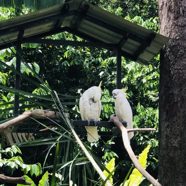 Zoo Malacca