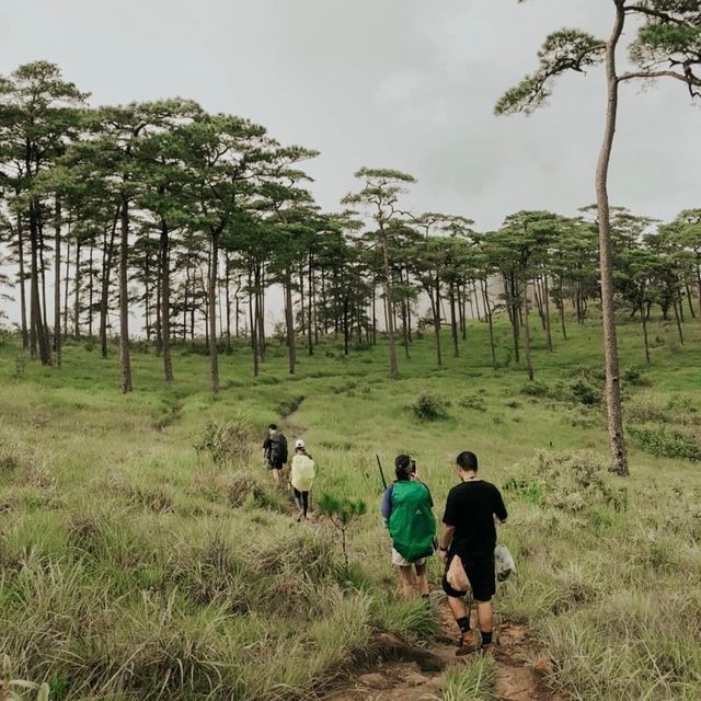 เดินป่าหน้าฝน - ภูสอยดาว 🌲🏞🌌🌫💫