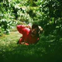 FIRST TIME CHERRY PICKING EXPERIENCE