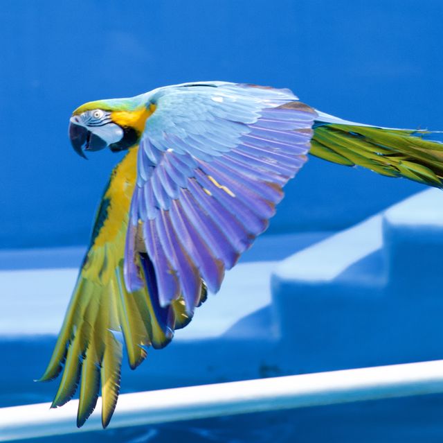 【仙台うみの杜水族館】仙台の家族で楽しめる水族館