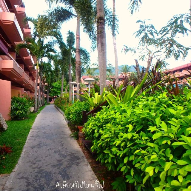 สวนน้ำ พร้อมรีสอร์ท Phuket Orchid Resort & Spa