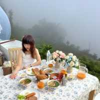 The cloud ม่อนเงาะ อาหารเช้าดีย์ วิวหมอก