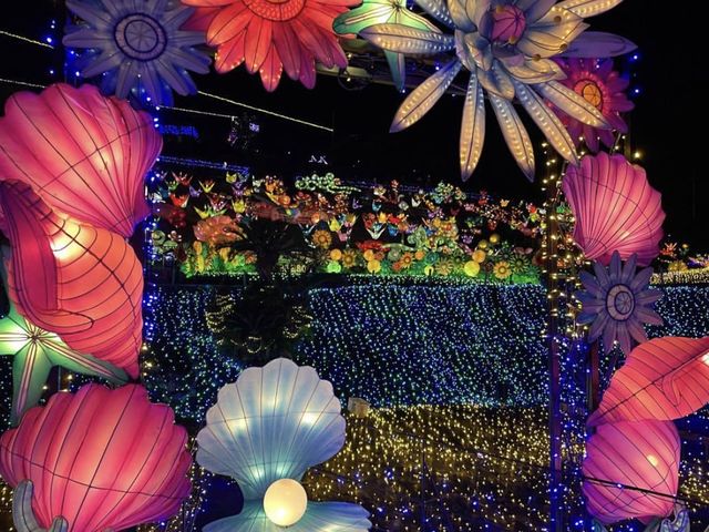 【伊豆】イルミネーションが綺麗な伊豆ぐらんぱる公園