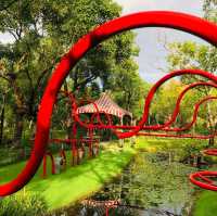 風光明媚🪷🌤Daan Forest Park 大安森林公園