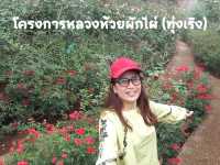 🌹โครงการหลวงห้วยผักไผ่ (ทุ่งเริง)🌹