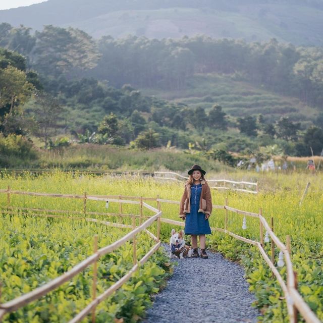 Ta Nung town - Da Lat