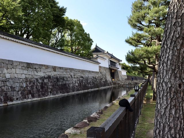 🏯京都 京都の城！二条城をご紹介