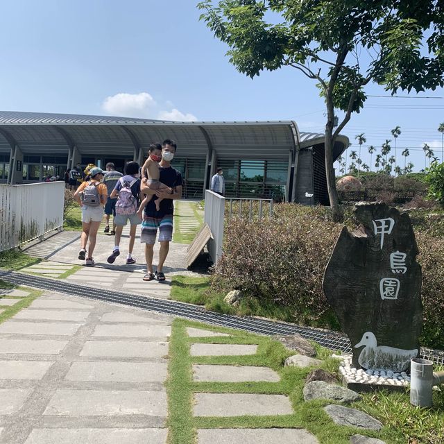 甲鳥園 親近可愛鴨鴨 乾淨 輕鬆的 養鴨農場