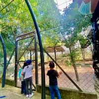 Perfect Family Day Staycation at Perak!!! 