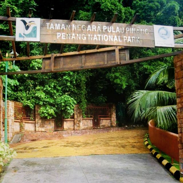 Hiking At Penang National Park