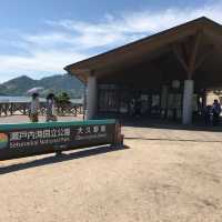 廣島景點 - 大久野島兔島