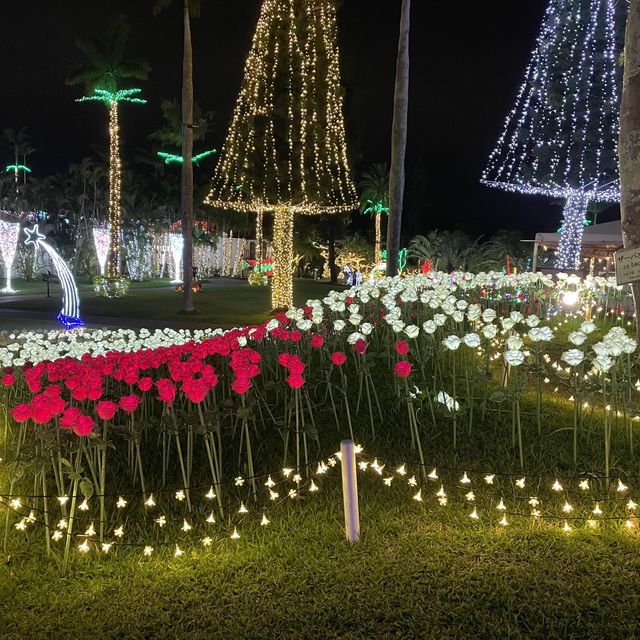 東南植物楽園のイルミネーション