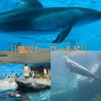 【千葉県:鴨川】鴨川シーワールドを大満喫できるオフィシャルホテル！