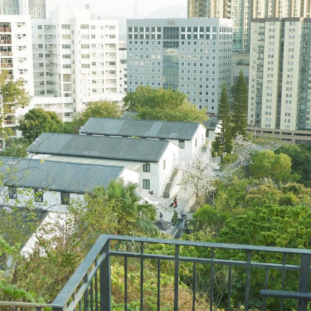 春日節目之小眾文青好去處 
