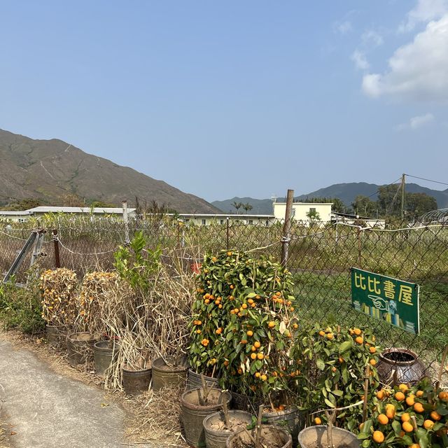 錦田慢活好地方