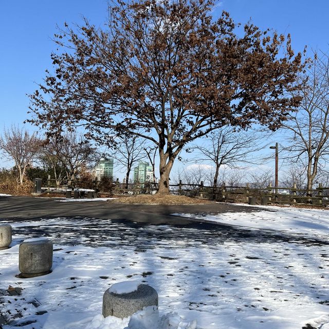 天空公園
